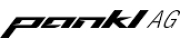 Pankl Racing Systems AG